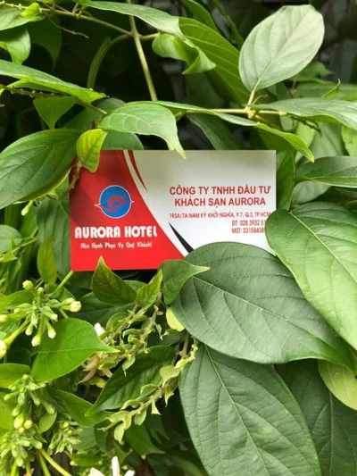 Aurora Hotel – Photos 4